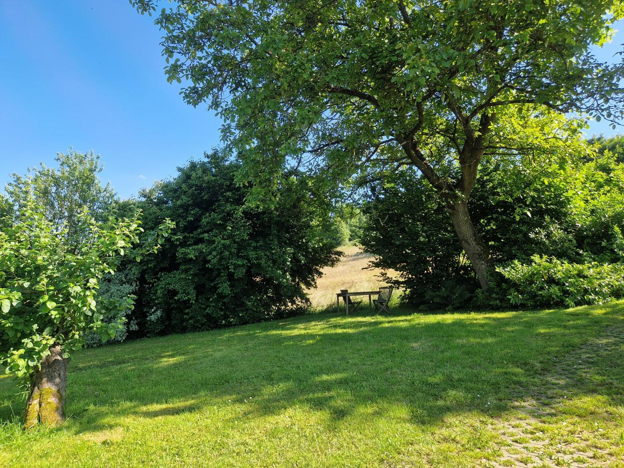 Ferienhaus Berghausen Am Hennesee เมสเชอเดอ ภายนอก รูปภาพ